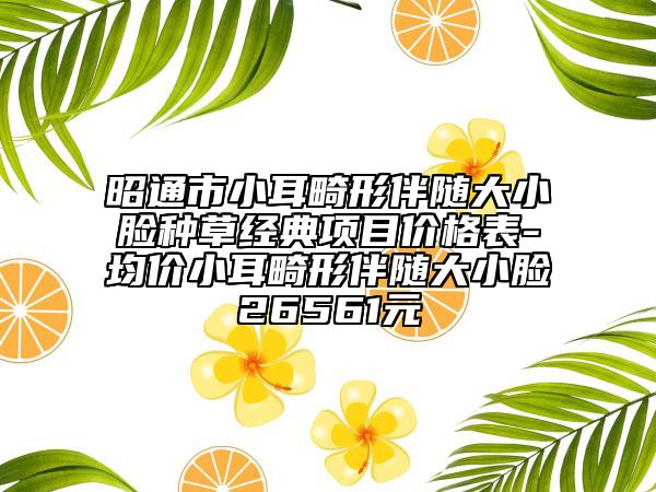 昭通市小耳畸形伴随大小脸种草经典项目价格表-均价小耳畸形伴随大小脸26561元