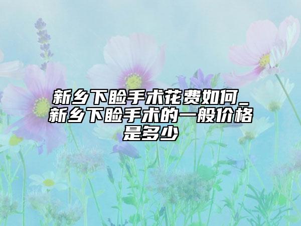 新乡下睑手术花费如何_新乡下睑手术的一般价格是多少