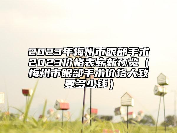 2023年梅州市眼部手术2023价格表崭新预览（梅州市眼部手术价格大致要多少钱）