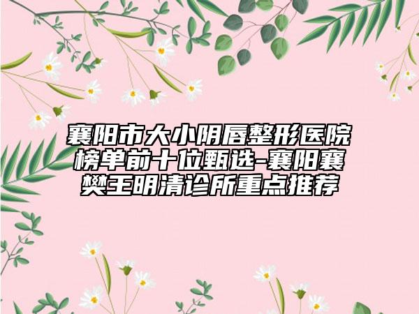 襄阳市大小阴唇整形医院榜单前十位甄选-襄阳襄樊王明清诊所重点推荐