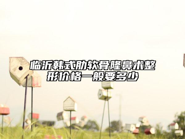 临沂韩式肋软骨隆鼻术整形价格一般要多少