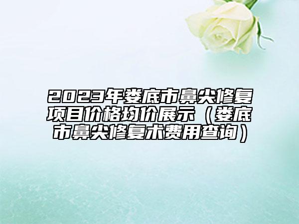 2023年娄底市鼻尖修复项目价格均价展示（娄底市鼻尖修复术费用查询）