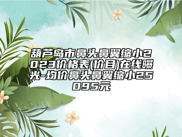 葫芦岛市鼻头鼻翼缩小2023价格表(价目)在线曝光-均价鼻头鼻翼缩小25095元