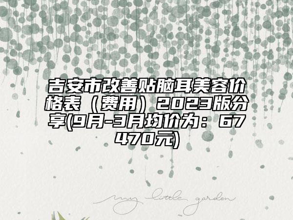 吉安市改善贴脑耳美容价格表（费用）2023版分享(9月-3月均价为：67470元)