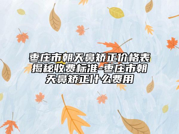 枣庄市朝天鼻矫正价格表揭秘收费标准-枣庄市朝天鼻矫正什么费用