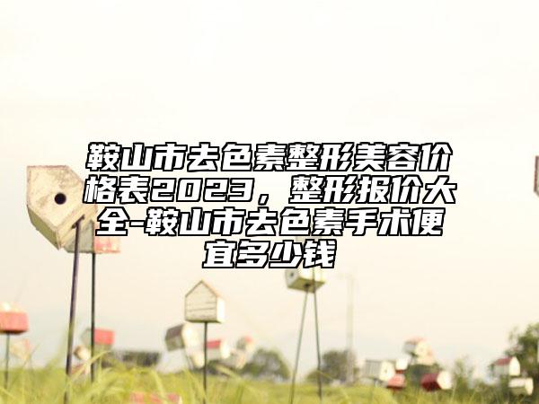 鞍山市去色素整形美容价格表2023，整形报价大全-鞍山市去色素手术便宜多少钱