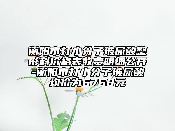 衡阳市打小分子玻尿酸整形科价格表收费明细公开-衡阳市打小分子玻尿酸均价为6768元
