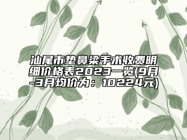 汕尾市垫鼻梁手术收费明细价格表2023一览(9月-3月均价为：10224元)