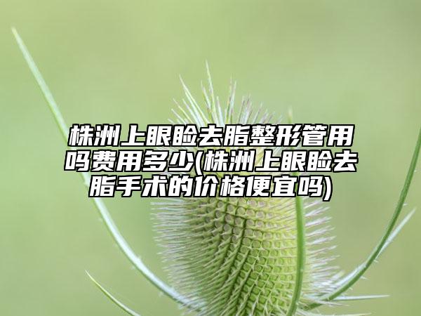 株洲上眼睑去脂整形管用吗费用多少(株洲上眼睑去脂手术的价格便宜吗)
