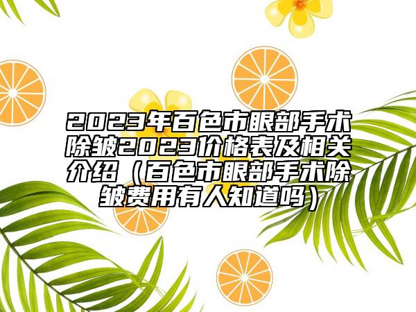 2023年百色市眼部手术除皱2023价格表及相关介绍（百色市眼部手术除皱费用有人知道吗）