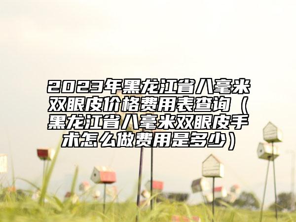 2023年黑龙江省八毫米双眼皮价格费用表查询（黑龙江省八毫米双眼皮手术怎么做费用是多少）