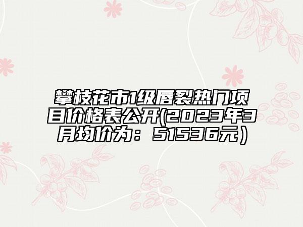 攀枝花市1级唇裂热门项目价格表公开(2023年3月均价为：51536元）