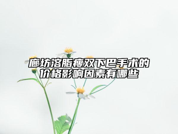廊坊溶脂瘦双下巴手术的价格影响因素有哪些