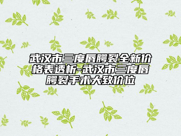 武汉市三度唇腭裂全新价格表透析-武汉市三度唇腭裂手术大致价位