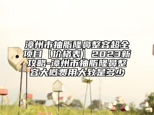 漳州市抽脂隆鼻整容超全项目【价格表】2023新攻略-漳州市抽脂隆鼻整容大概费用大致是多少