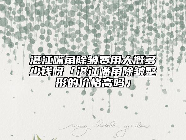 湛江嘴角除皱费用大概多少钱呀「湛江嘴角除皱整形的价格高吗」