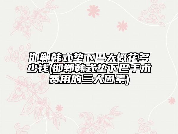 邯郸韩式垫下巴大概花多少钱(邯郸韩式垫下巴手术费用的三大因素)