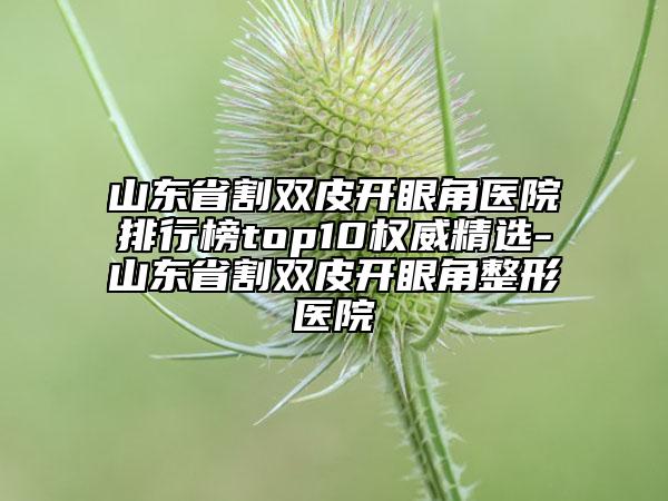 山东省割双皮开眼角医院排行榜top10权威精选-山东省割双皮开眼角整形医院