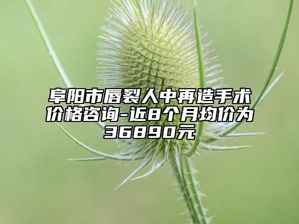 阜阳市唇裂人中再造手术价格咨询-近8个月均价为36890元