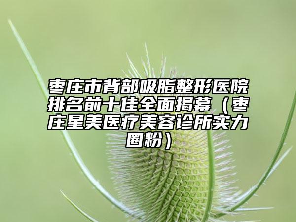 枣庄市背部吸脂整形医院排名前十佳全面揭幕（枣庄星美医疗美容诊所实力圈粉）