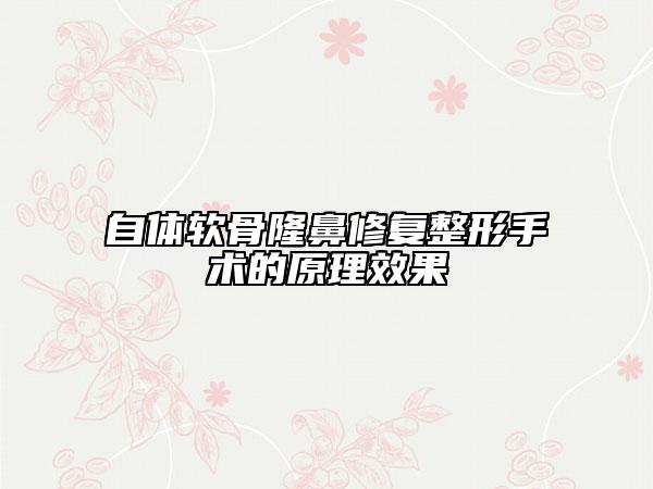 自体软骨隆鼻修复整形手术的原理效果