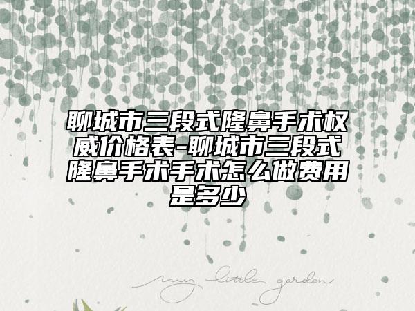 聊城市三段式隆鼻手术权威价格表-聊城市三段式隆鼻手术手术怎么做费用是多少
