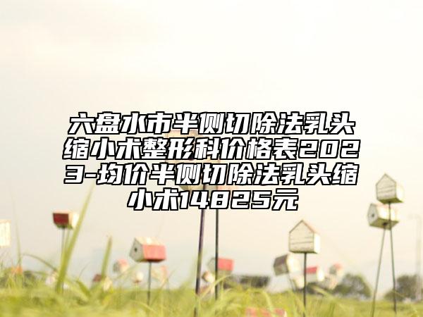 六盘水市半侧切除法乳头缩小术整形科价格表2023-均价半侧切除法乳头缩小术14825元