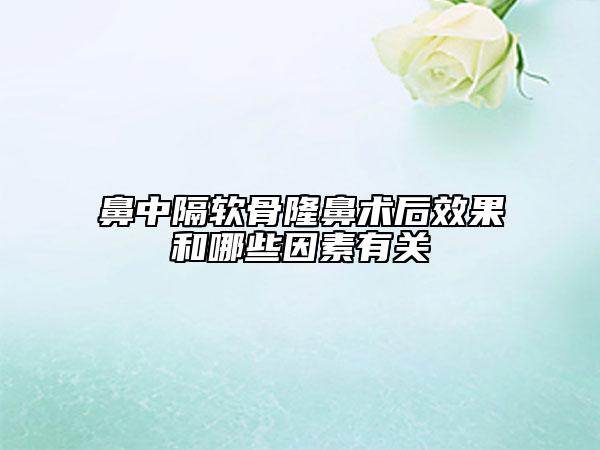 鼻中隔软骨隆鼻术后效果和哪些因素有关