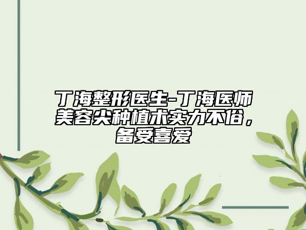 丁海整形医生-丁海医师美容尖种植术实力不俗，备受喜爱