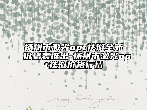 扬州市激光opt祛斑全新价格表推出-扬州市激光opt祛斑价格行情