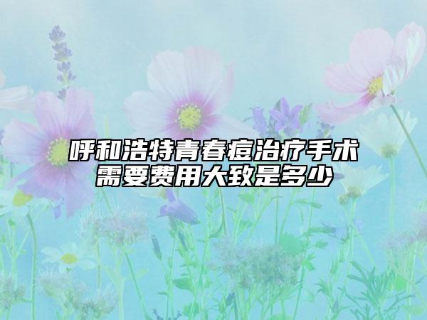 呼和浩特青春痘治疗手术需要费用大致是多少