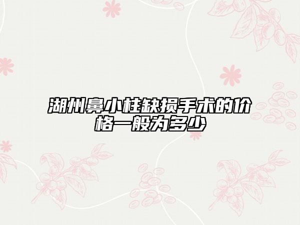 湖州鼻小柱缺损手术的价格一般为多少