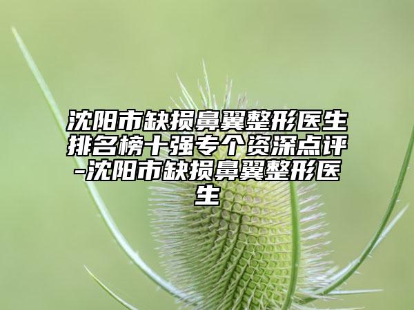 沈阳市缺损鼻翼整形医生排名榜十强专个资深点评-沈阳市缺损鼻翼整形医生