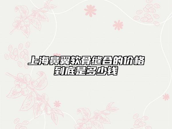 上海鼻翼软骨缝合的价格到底是多少钱