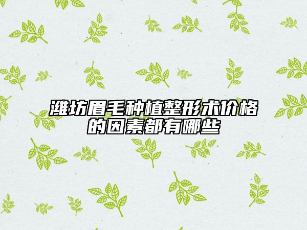 潍坊眉毛种植整形术价格的因素都有哪些