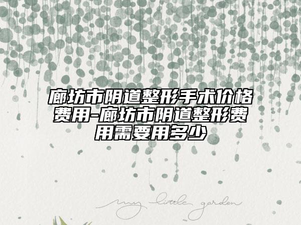 廊坊市阴道整形手术价格费用-廊坊市阴道整形费用需要用多少