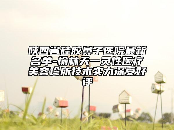 陕西省硅胶鼻子医院最新名单-榆林天一灵性医疗美容诊所技术实力深受好评