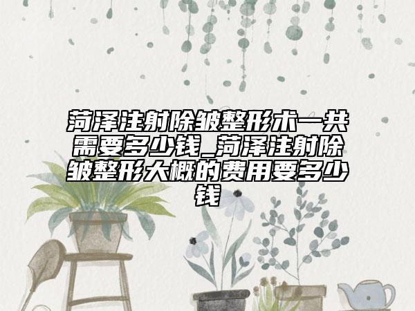 菏泽注射除皱整形术一共需要多少钱_菏泽注射除皱整形大概的费用要多少钱