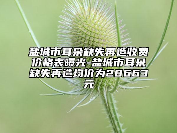 盐城市耳朵缺失再造收费价格表曝光-盐城市耳朵缺失再造均价为28663元