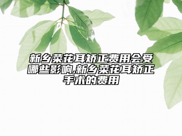 新乡菜花耳矫正费用会受哪些影响,新乡菜花耳矫正手术的费用