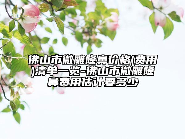 佛山市微雕隆鼻价格(费用)清单一览-佛山市微雕隆鼻费用估计要多少