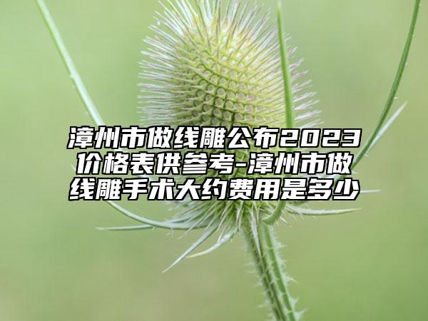 漳州市做线雕公布2023价格表供参考-漳州市做线雕手术大约费用是多少
