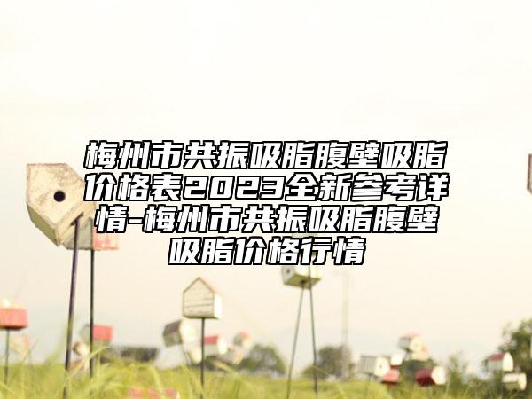 梅州市共振吸脂腹壁吸脂价格表2023全新参考详情-梅州市共振吸脂腹壁吸脂价格行情