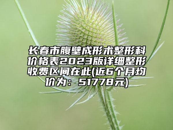 长春市腹壁成形术整形科价格表2023版详细整形收费区间在此(近6个月均价为：51778元)