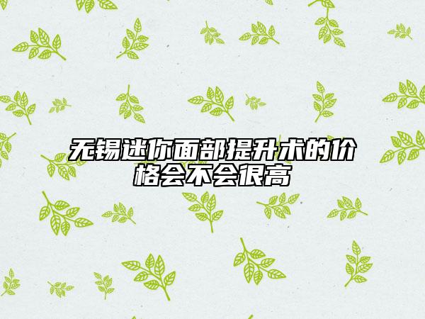 无锡迷你面部提升术的价格会不会很高