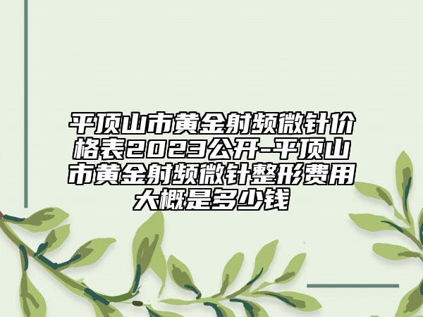 平顶山市黄金射频微针价格表2023公开-平顶山市黄金射频微针整形费用大概是多少钱