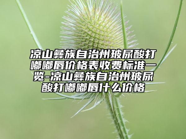 凉山彝族自治州玻尿酸打嘟嘟唇价格表收费标准一览-凉山彝族自治州玻尿酸打嘟嘟唇什么价格