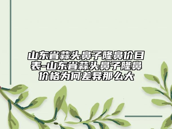 山东省蒜头鼻子隆鼻价目表-山东省蒜头鼻子隆鼻价格为何差异那么大