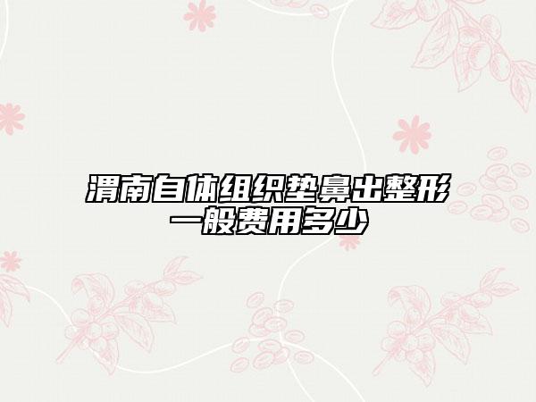 渭南自体组织垫鼻出整形一般费用多少