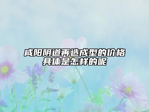 咸阳阴道再造成型的价格具体是怎样的呢